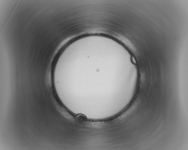 X0000111370934200907311030