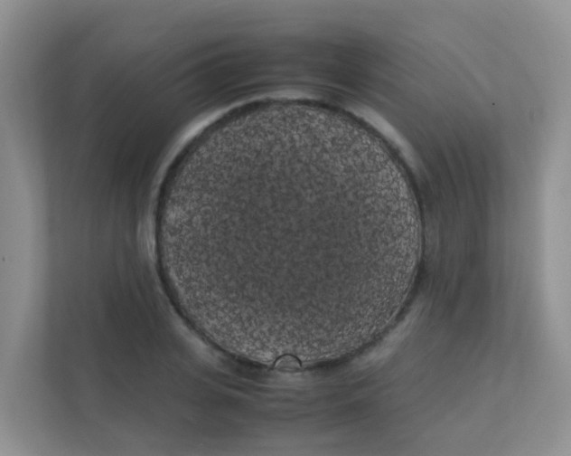 X0000111370935200907311030