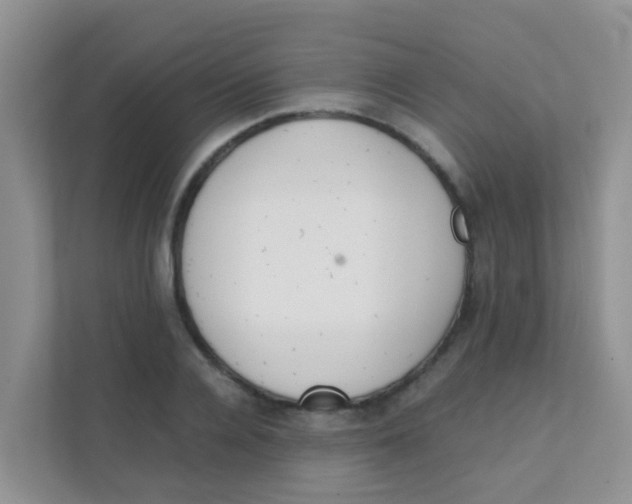 X0000111370936200907311030