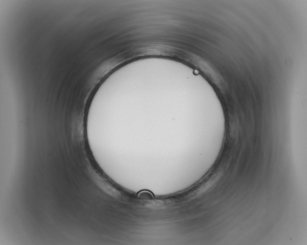 X0000111370938200907311030