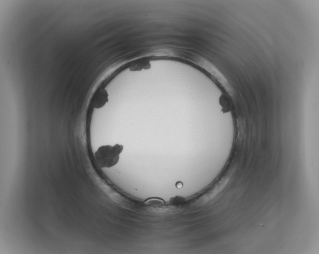 X0000111370939200907311030