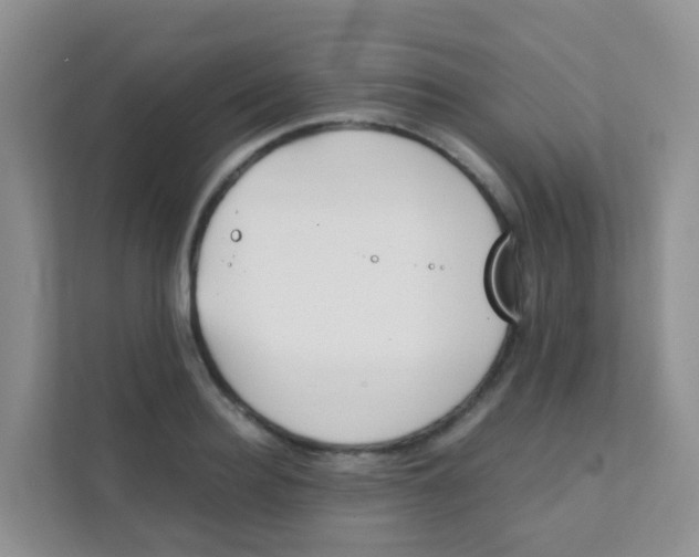 X0000111370940200907311030