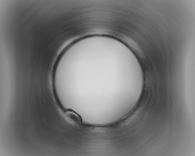 X0000111370942200907311030