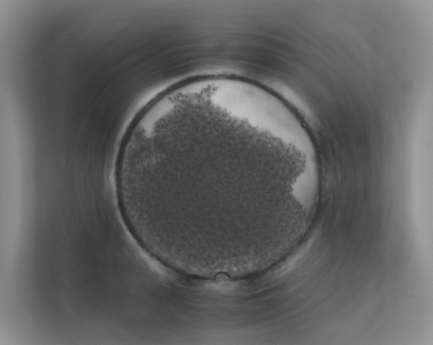 X0000111370943200907311030