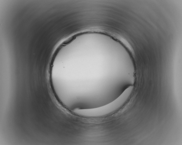 X0000111370944200907311030