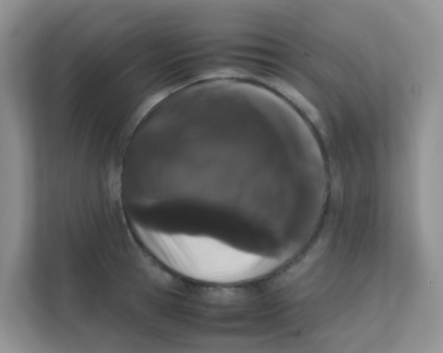 X0000111370945200907311030