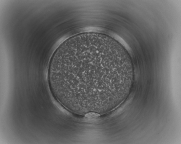 X0000111370946200907311030