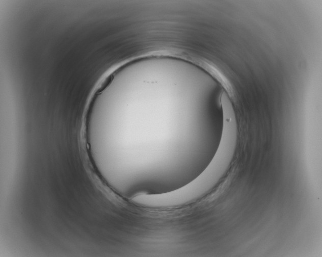 X0000111370948200907311030