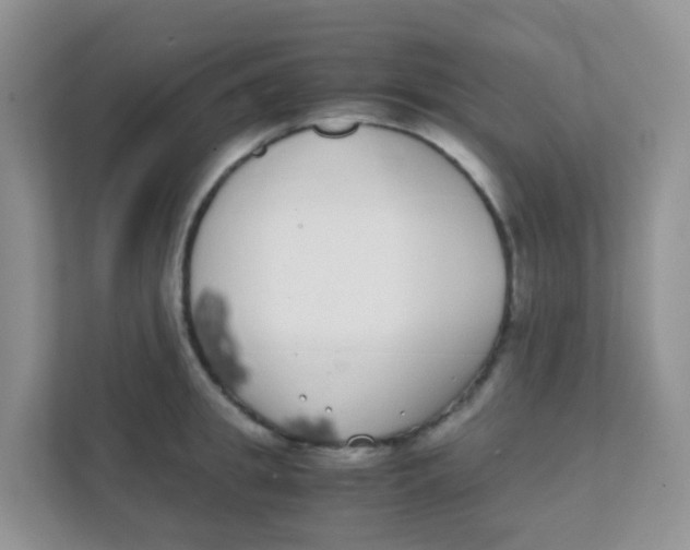 X0000111370949200907311030