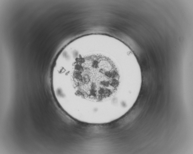 X0000111370950200907311030