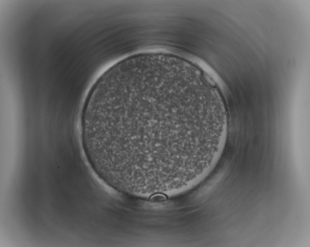 X0000111370951200907311030