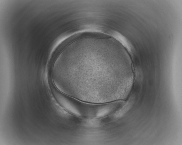 X0000111370952200907311030