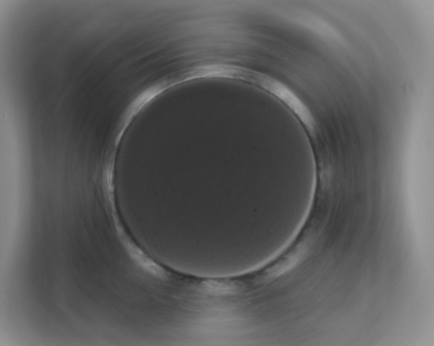 X0000111370954200907311030