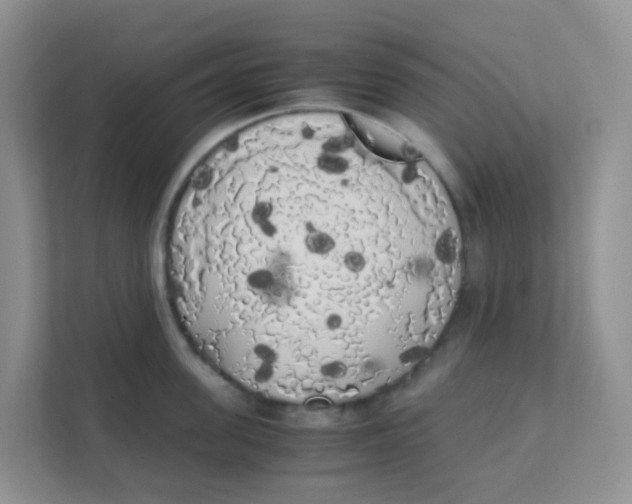 X0000111370955200907311030