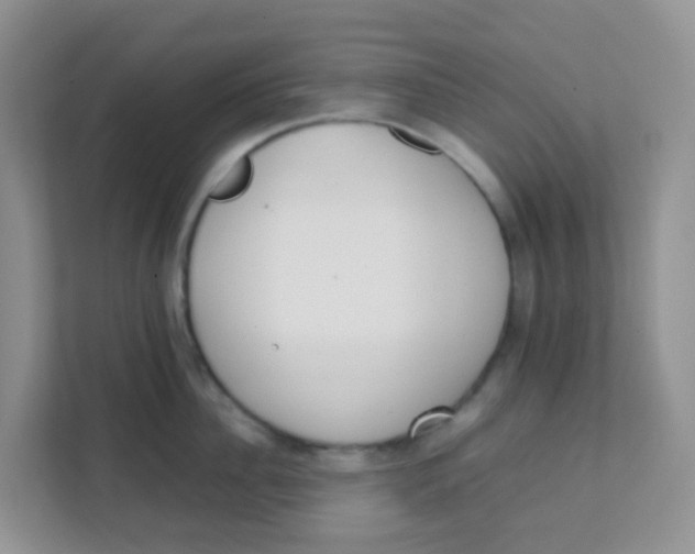 X0000111370956200907311030