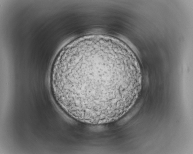 X0000111370957200907311030