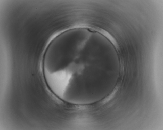 X0000111370958200907311030