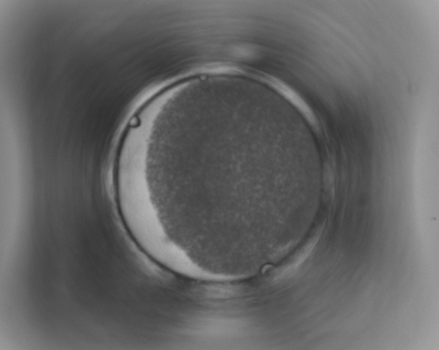 X0000111370959200907311030