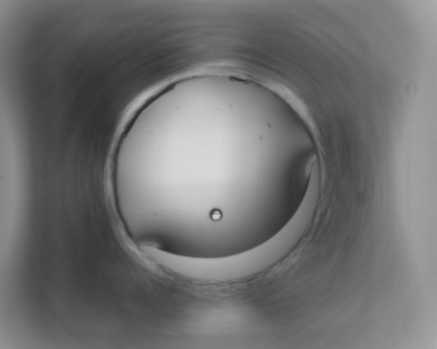 X0000111370960200907311030