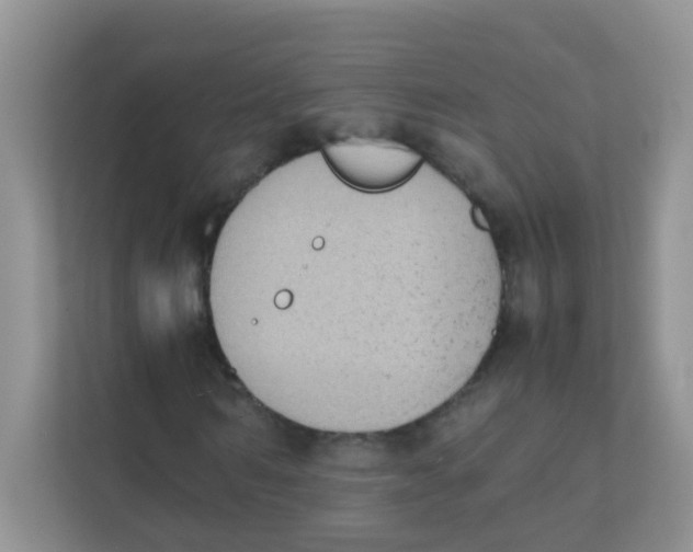 X0000111370962200907311030