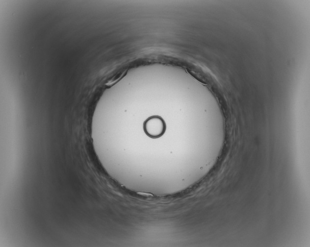 X0000111370965200907311030