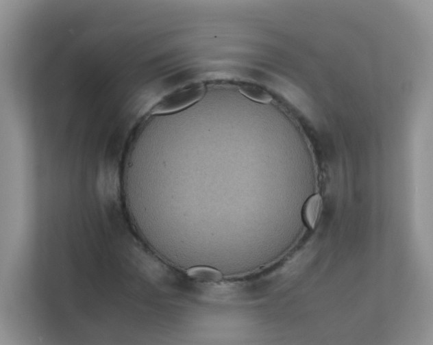 X0000111370969200907311030