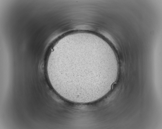 X0000111370971200907311030