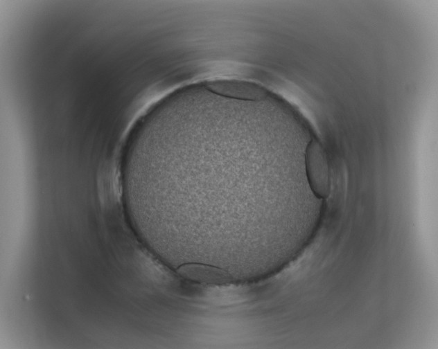 X0000111370973200907311030