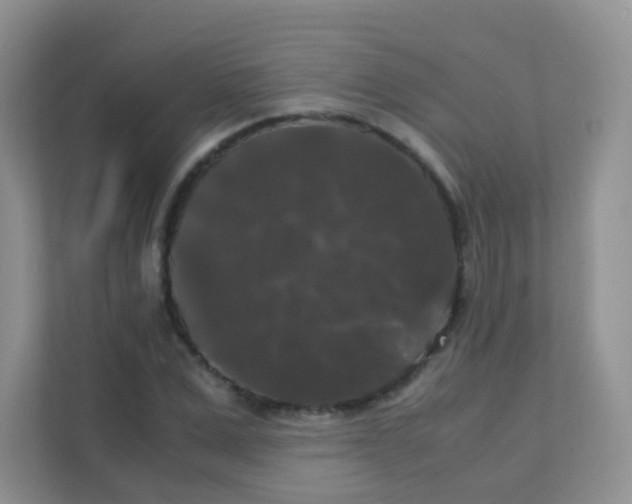 X0000111370975200907311030