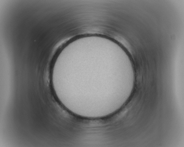 X0000111370979200907311029