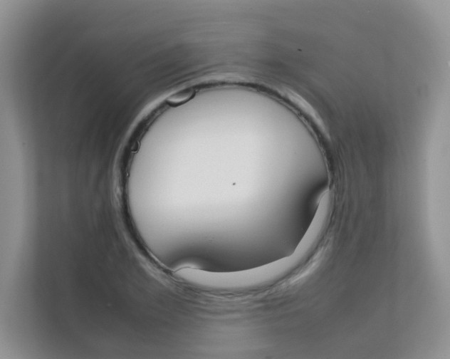 X0000111370981200907311029