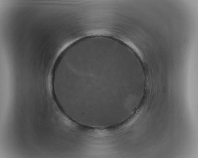 X0000111370983200907311029