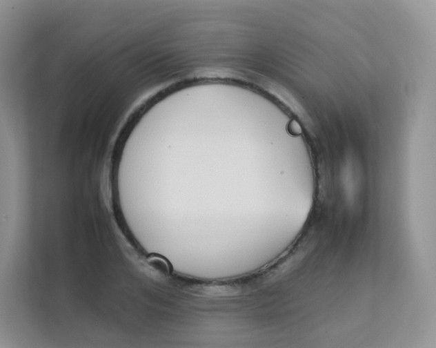 X0000111370984200907311029