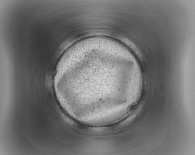 X0000111370985200907311029