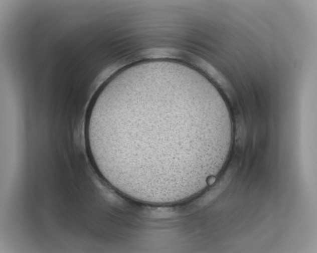 X0000111370986200907311029