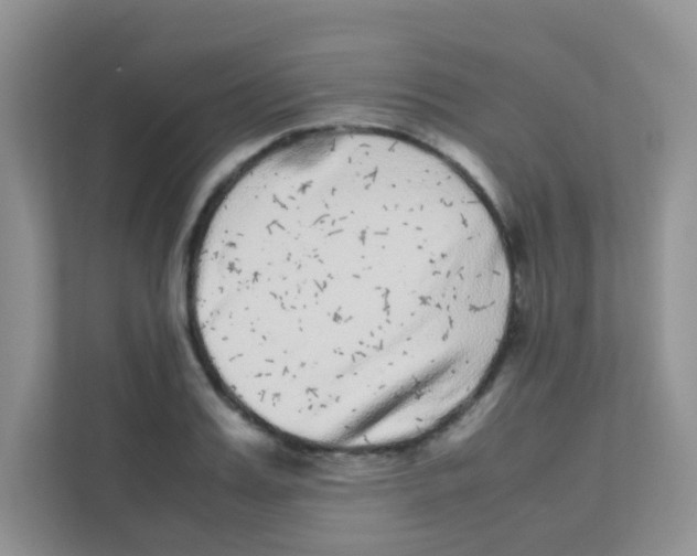 X0000111370987200907311029