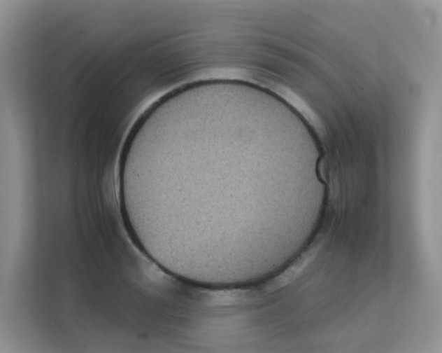 X0000111370988200907311029