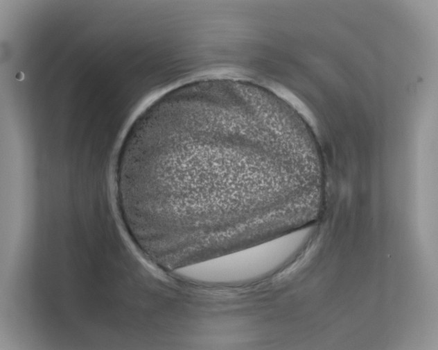 X0000111370989200907311029