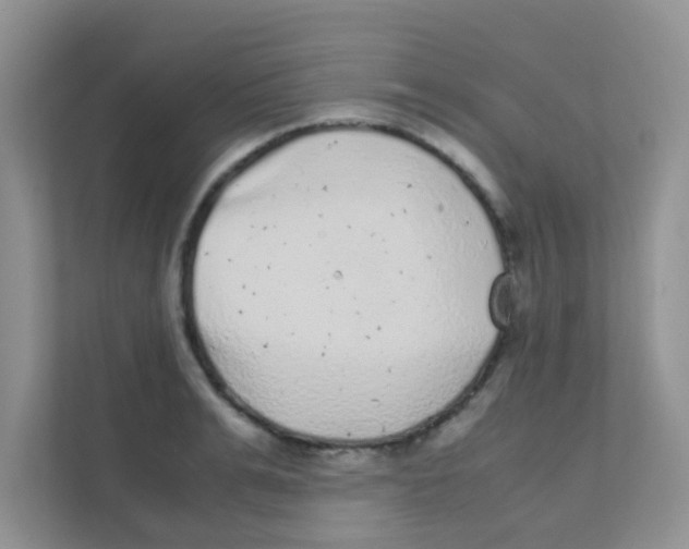 X0000111370991200907311029