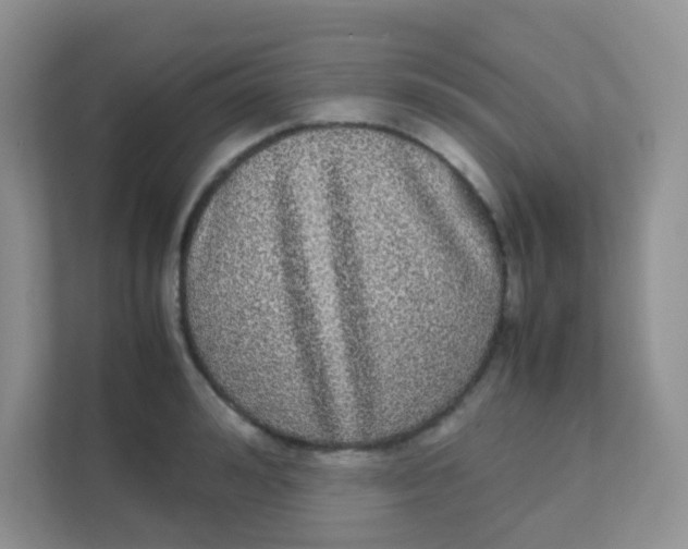 X0000111370992200907311029