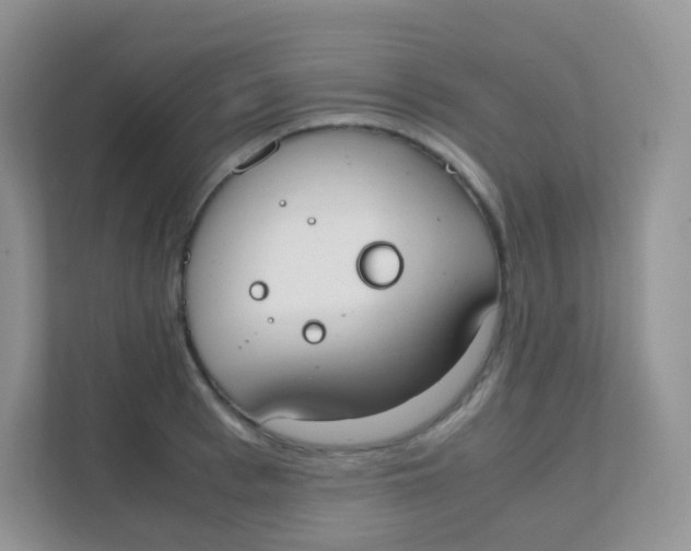 X0000111370993200907311029