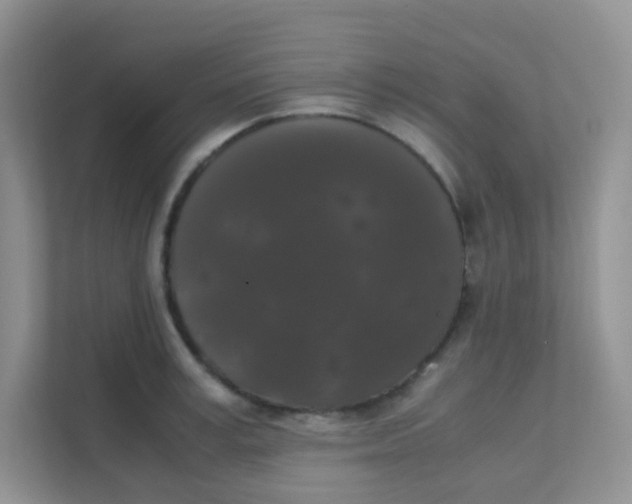 X0000111370995200907311029