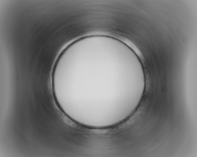 X0000111370996200907311029