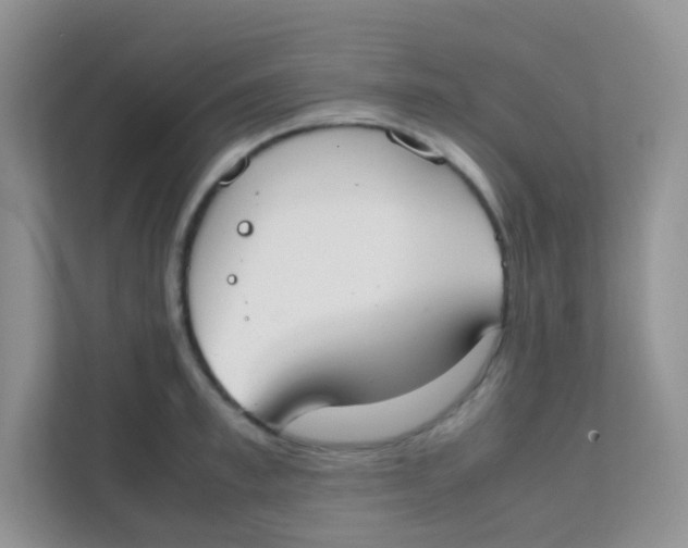 X0000111370997200907311029