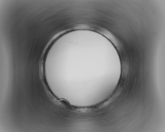 X0000111371000200907311029