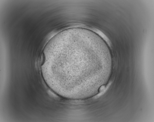 X0000111371001200907311029