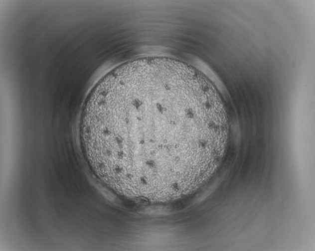 X0000111371002200907311029