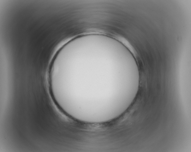 X0000111371003200907311029