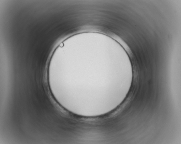 X0000111371004200907311029