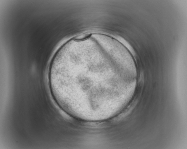 X0000111371005200907311029